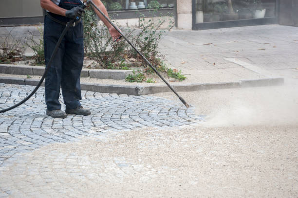 Animal Enclosure Cleaning in Butner, NC